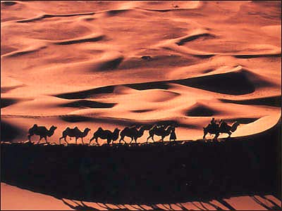 巴丹吉林沙漠.jpg
